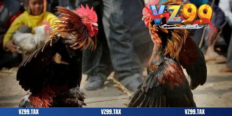 add da ga campuchia