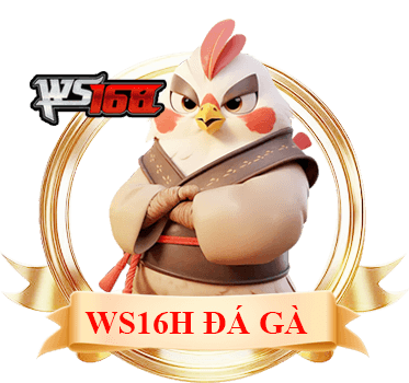 ws168